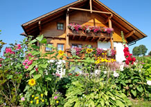 Idyllisch gelegener Bauernhof am Sonnenplateau Ramsau in Österreich