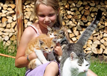 Katzen streicheln am Bauernhof in Ramsau am Dachstein