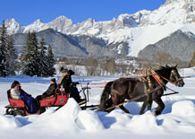 Romantische Pferdeschlittenfahrten am Fuße des Dachstein