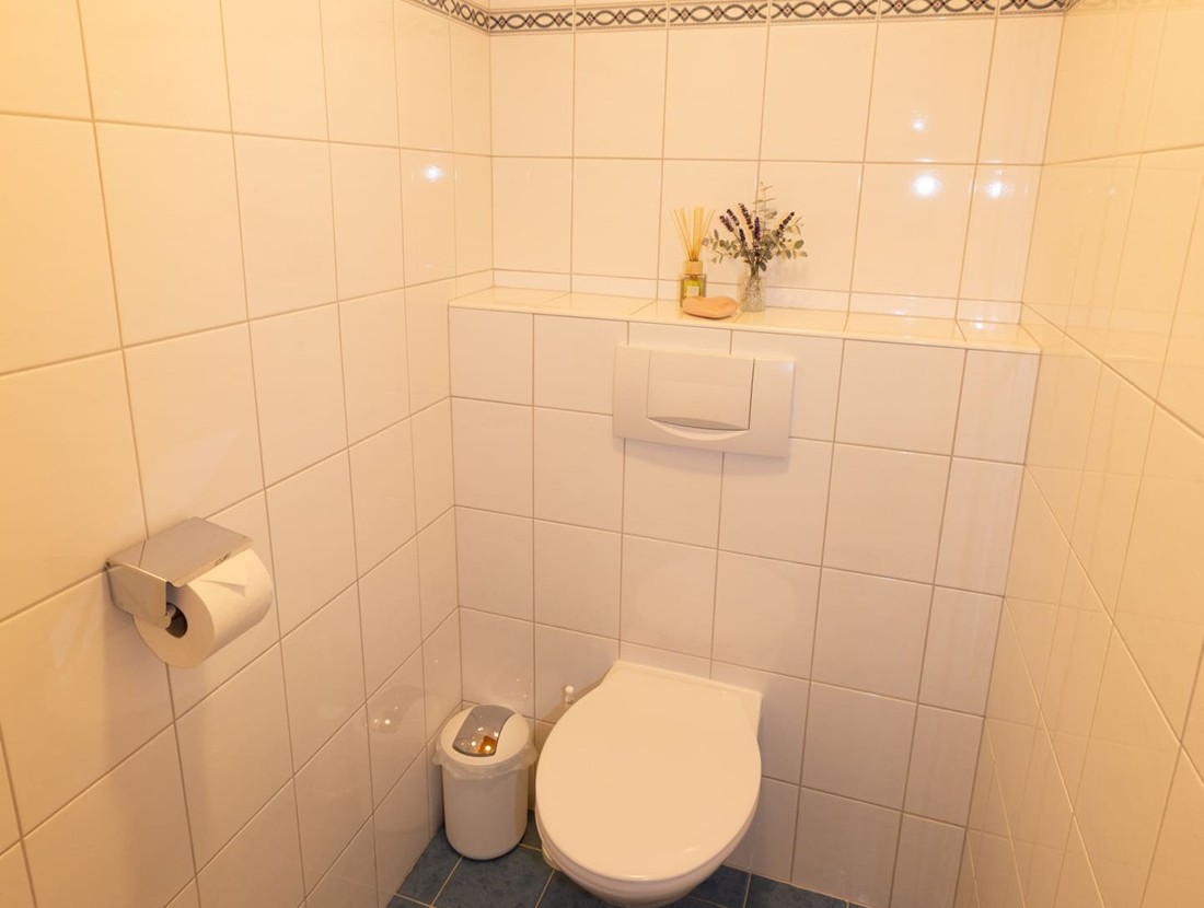 Kleines Badezimmer mit Toilette, Papierhalter und Duftstäbchen auf gefliester Ablage