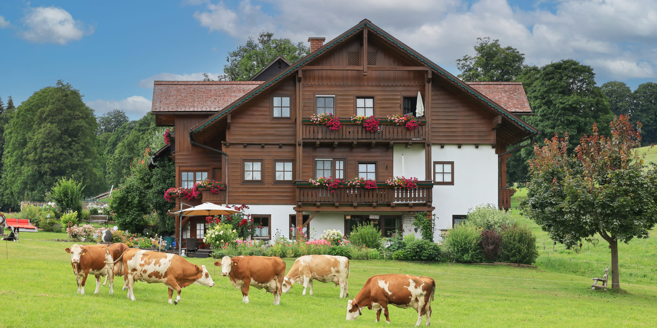 Sommerurlaub in Ferienwohnungen am Bauernhof