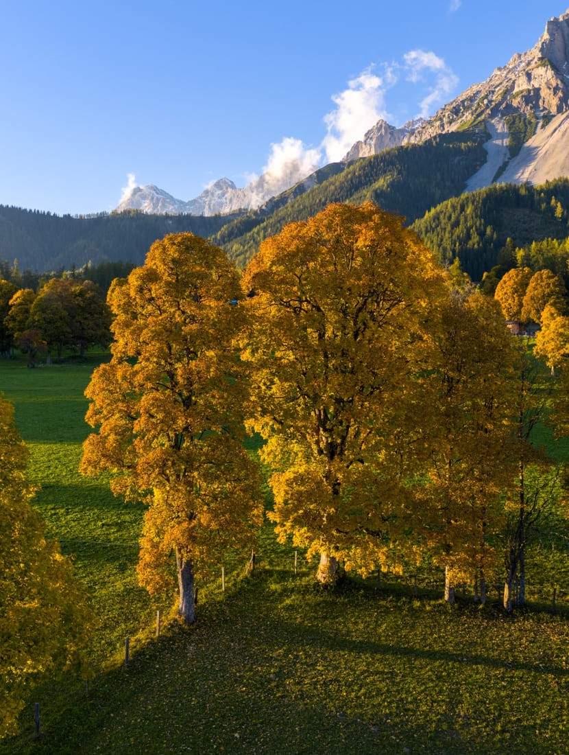 Sommerurlaub im Paradies in Ramsau am Dachstein © Photo Austria_Martin Huber
